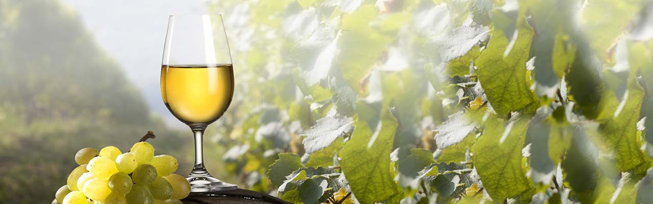 Agriturismi in Sicilia per vacanze enogastronomiche