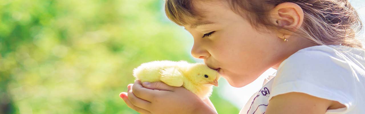 Agriturismo con animali per bambini