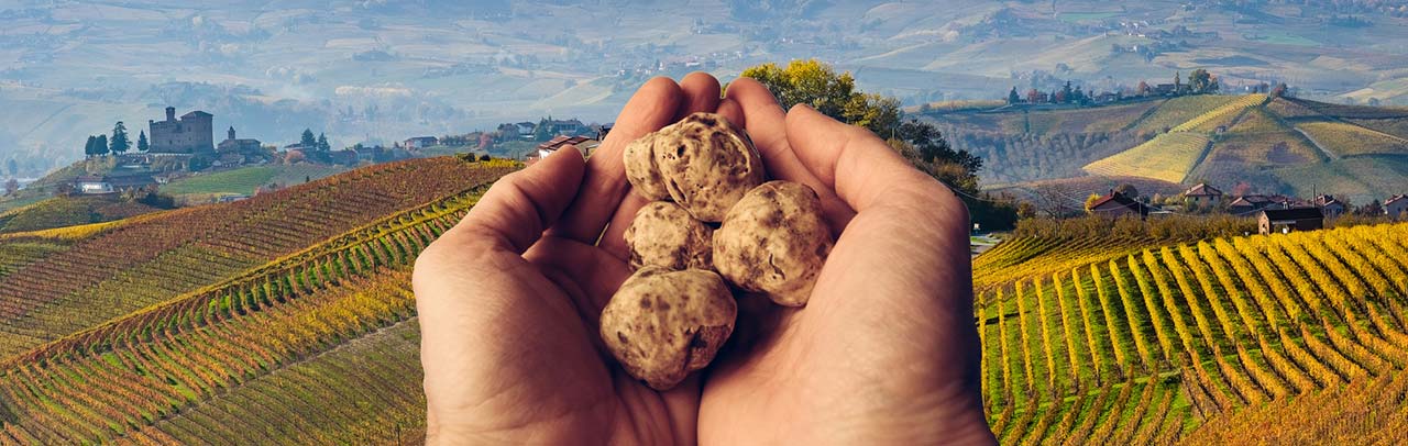 Degustazione di tartufo in Agriturismo