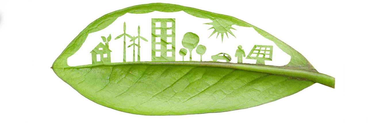 Ecoturismo in Agriturismo in Toscana