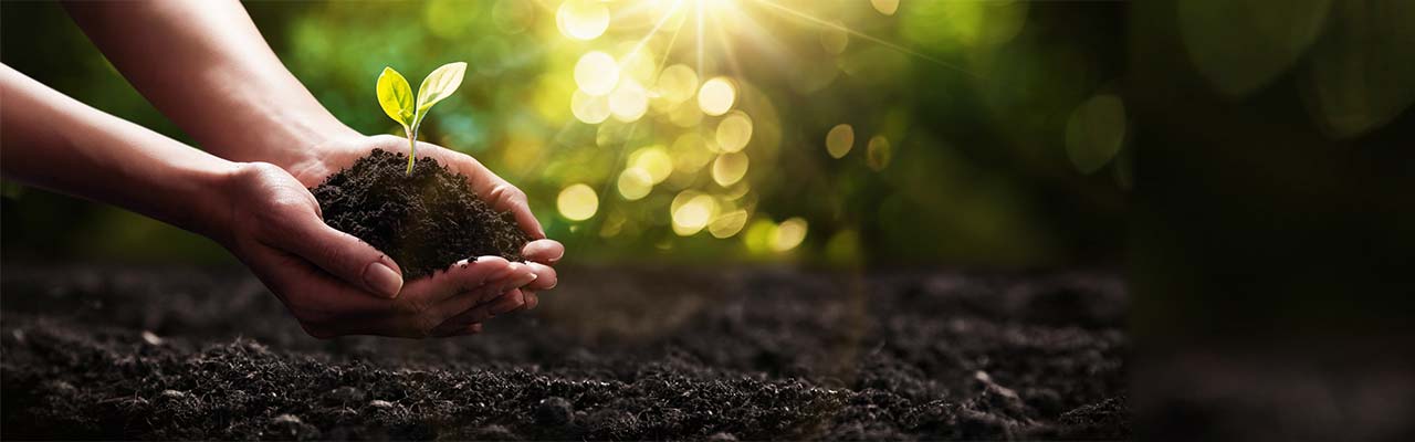 Agriturismi biologici Sicilia