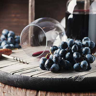 Degustazioni di vino nelle Langhe