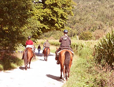 Vacanze a cavallo in Agriturismo: le Ippovie in Toscana