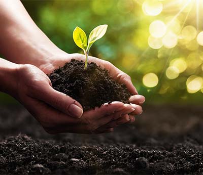 Vacanza in Agriturismo ecosostenibile in Italia